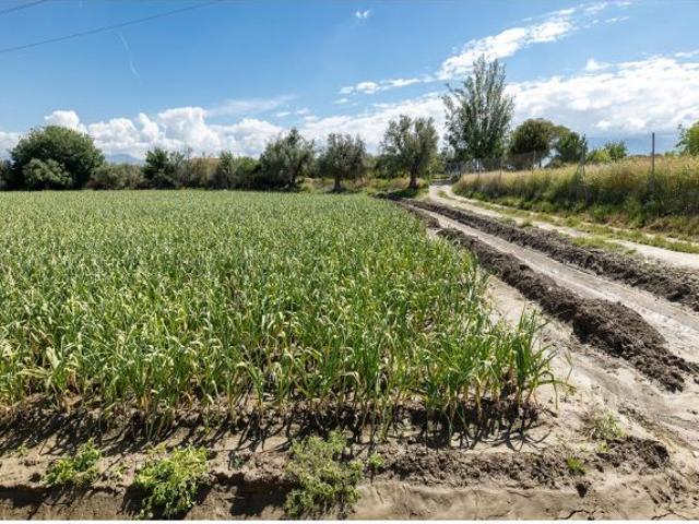 Local Comercial en venta en Comarca de la Vega de Granada, Andalucía