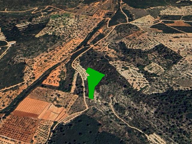 Terreno en venta en Castelló de la Plana / Castellón de la Plana, Castelló / Castellón