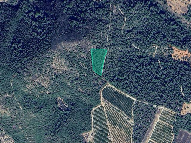 Terreno en venta en Castelló de la Plana / Castellón de la Plana, Castelló / Castellón