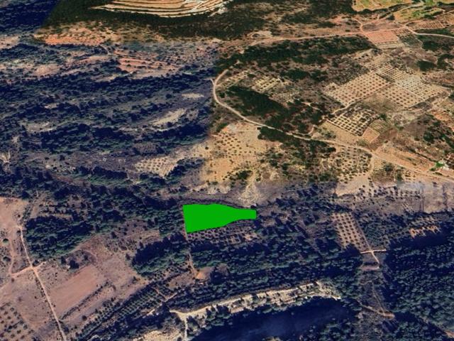 Terreno en venta en Comarca de València, Valencia