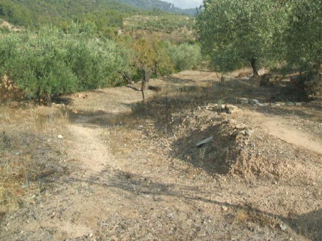 Terreno en venta en els Quatre Garrofers, Tarragonès