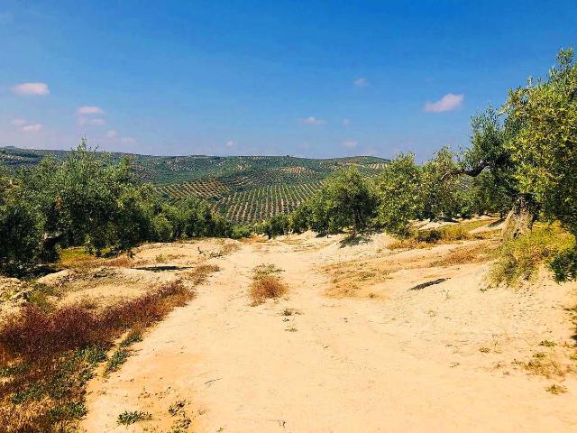 Terreno en venta en Jaén