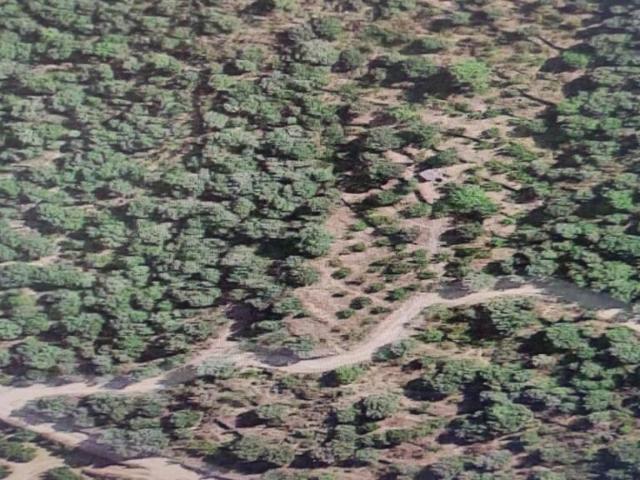 Terreno en venta en L'aleixar, Tarragona