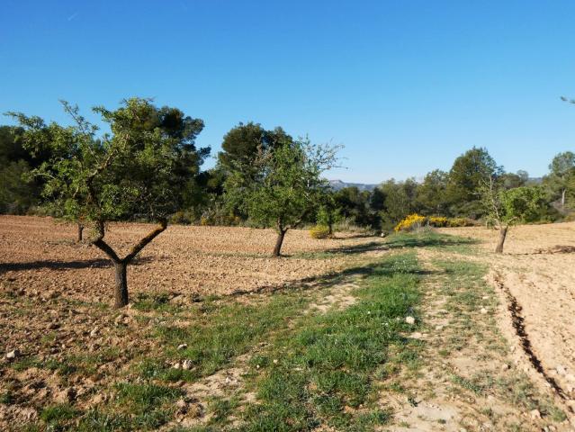 Terreno en venta en Terra Alta, Catalunya