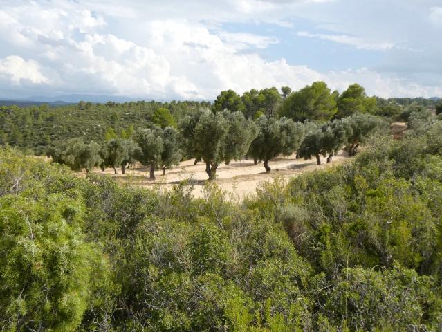 Terreno en venta en Matarraña / Matarranya, Calaceite
