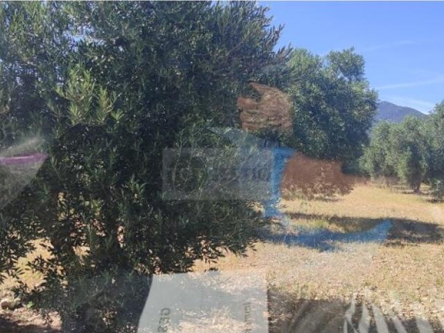 Terreno en venta en Alt Empordà, Catalunya