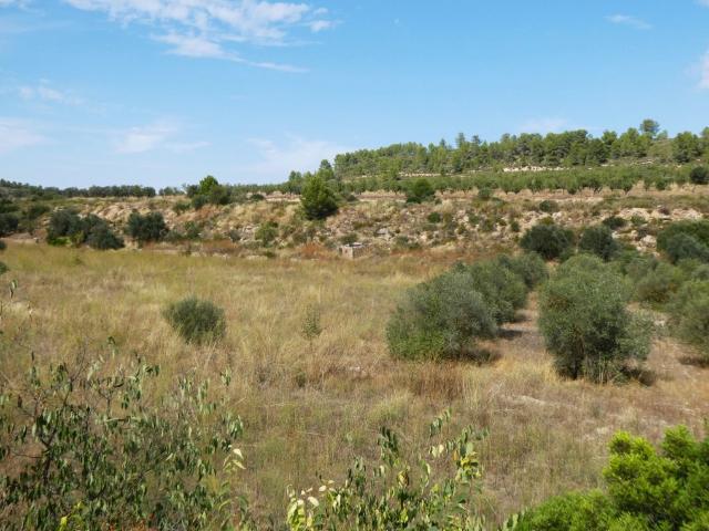Terreno en venta en Terra Alta, Catalunya