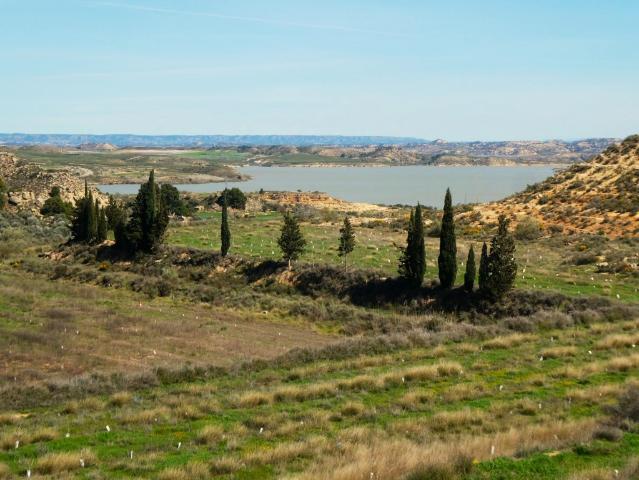 Terreno en venta en Bajo Aragón-Caspe / Baix Aragó-Casp, Aragón