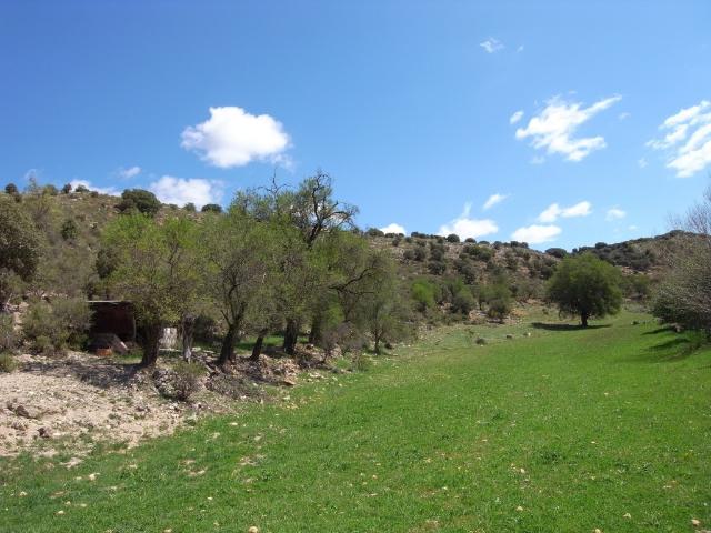 Terreno en venta en Escariche
