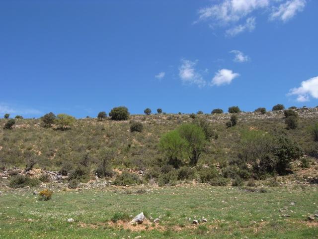 Terreno en venta en Escariche, Castilla-La Mancha