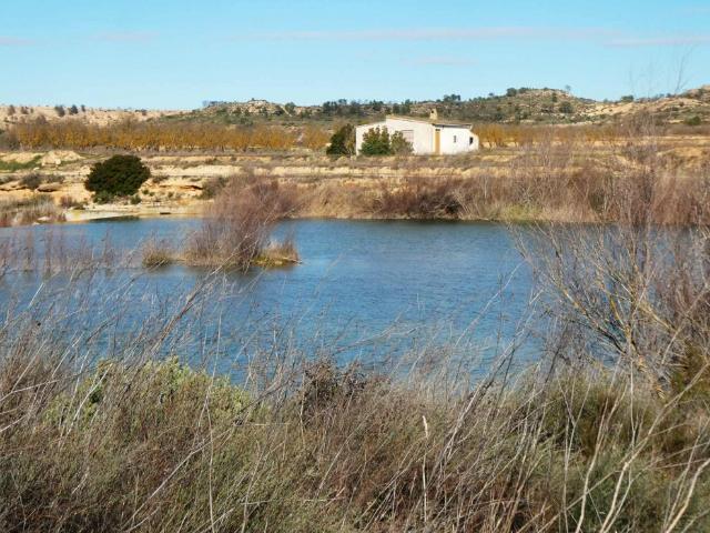 Terreno en venta en Bajo Aragón-Caspe / Baix Aragó-Casp, Aragón