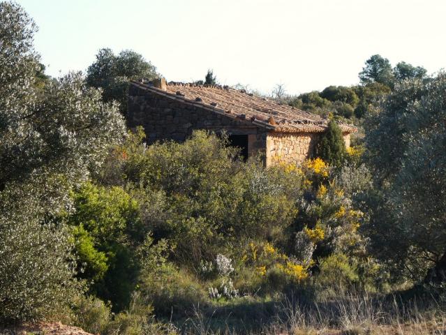 Terreno en venta en Bajo Aragón-Caspe / Baix Aragó-Casp, Aragón