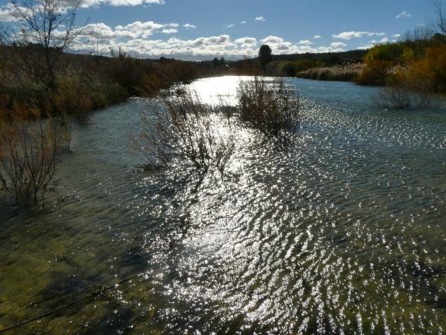 Terreno en venta en Bajo Aragón-Caspe / Baix Aragó-Casp, Aragón