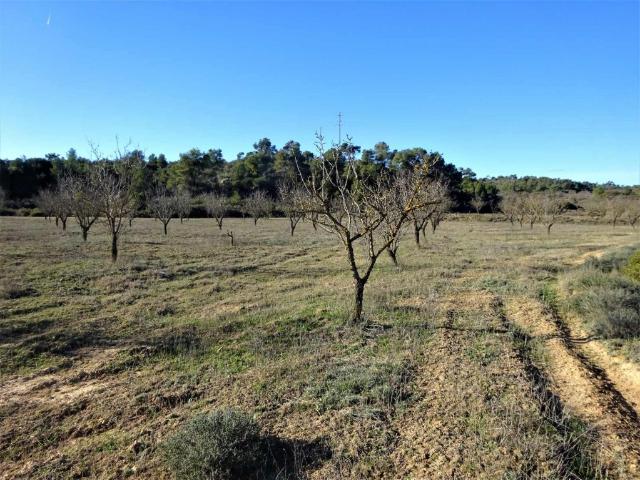 Terreno en venta en Bajo Aragón-Caspe / Baix Aragó-Casp, Aragón