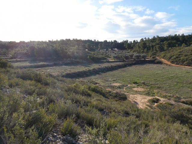Terreno en venta en Bajo Aragón-Caspe / Baix Aragó-Casp, Aragón
