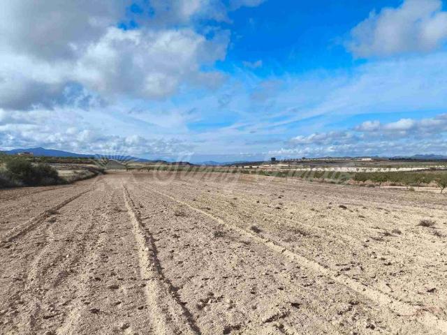 Terreno en venta en Torre del Rico, Altiplano