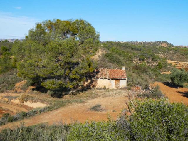 Terreno en venta en Bajo Aragón-Caspe / Baix Aragó-Casp, Aragón