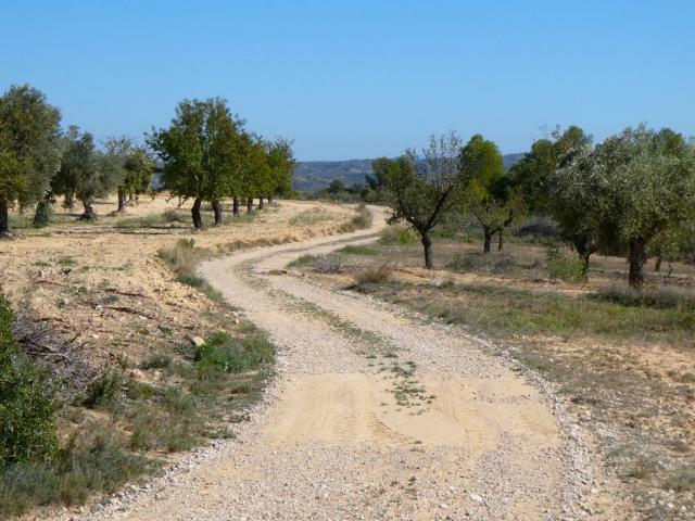 Terreno en venta en Bajo Aragón-Caspe / Baix Aragó-Casp, Aragón
