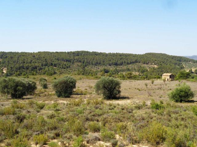 Terreno en venta en Bajo Aragón-Caspe / Baix Aragó-Casp, Aragón