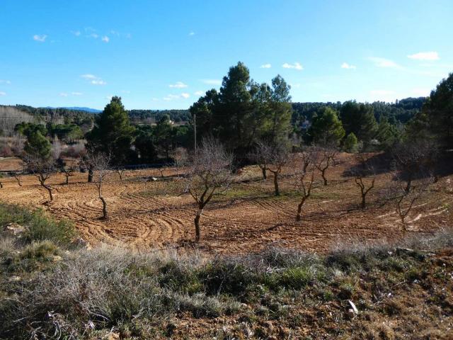 Terreno en venta en Matarraña / Matarranya, Mazaleón