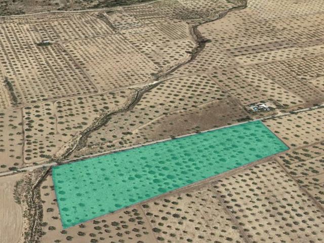 Terreno en venta en l'Alacantí, Valencia