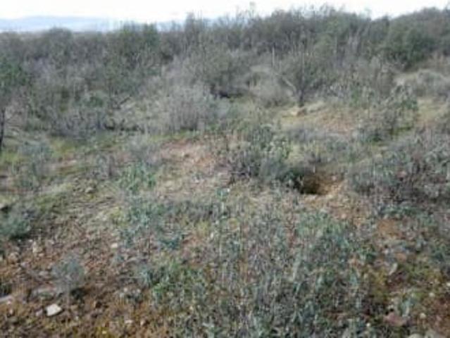 Terreno en venta en Toledo, Castilla-La Mancha