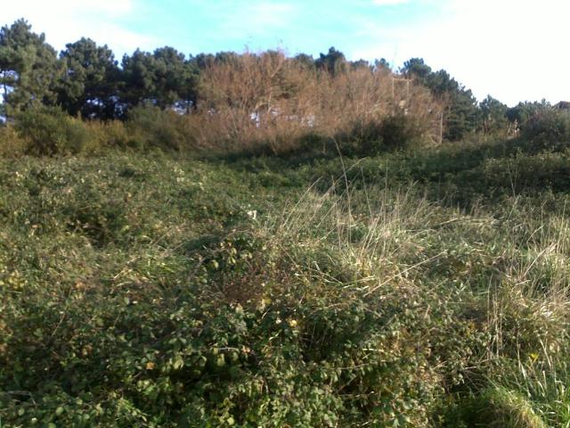 Terreno en venta en Parque Científico y Tecnológico de Bizkaia, Derio