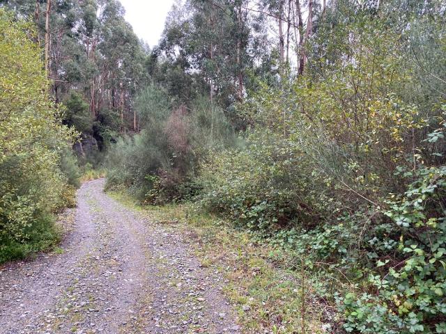 Terreno en venta en Pontevedra, Galicia
