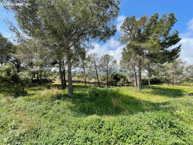 Local Comercial en venta en Baix Camp, Catalunya