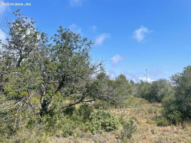 Local Comercial en venta en Baix Camp, Catalunya