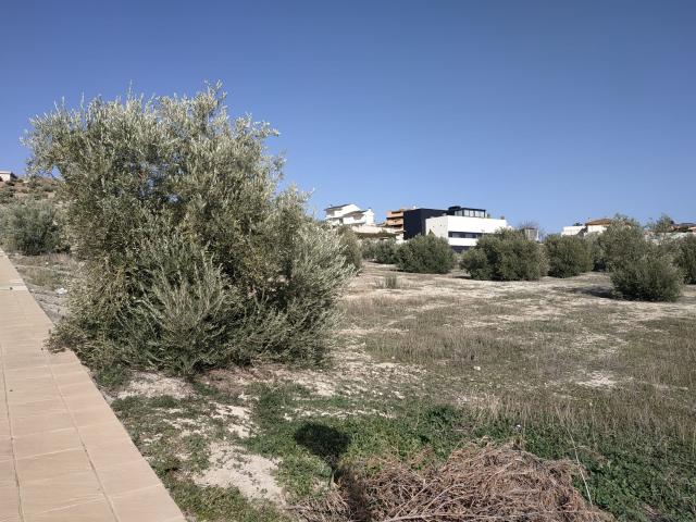Terreno en venta en Jaén, Andalucía