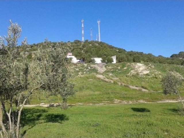 Local Comercial en venta en Sierra de Cádiz, Andalucía