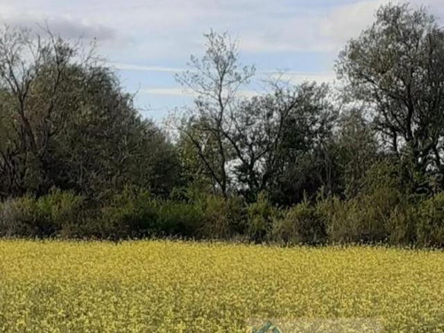 Terreno en venta en Santo Tomé Del Puerto, Castilla y León