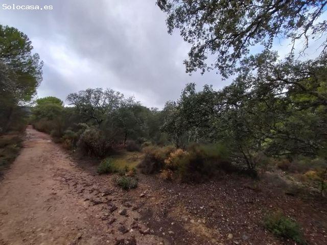 Local Comercial en venta en Obejo, Andalucía