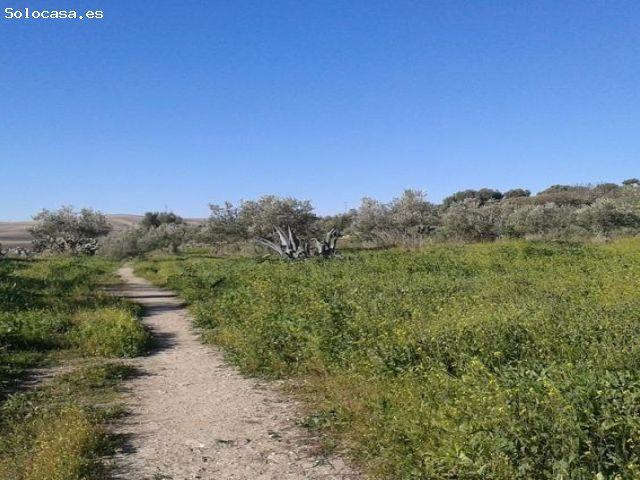 Local Comercial en venta en Sierra de Cádiz, Andalucía