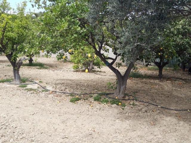 Terreno en venta en l'Alacantí, Valencia