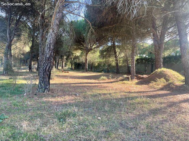 Local Comercial en venta en Boecillo, Castilla y León