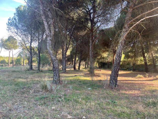 Terreno en venta en Boecillo, Castilla y León