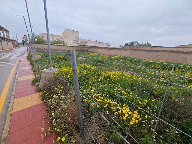 Terreno en venta en Valladolises y Lo Jurado, Campo de Cartagena y Mar Menor