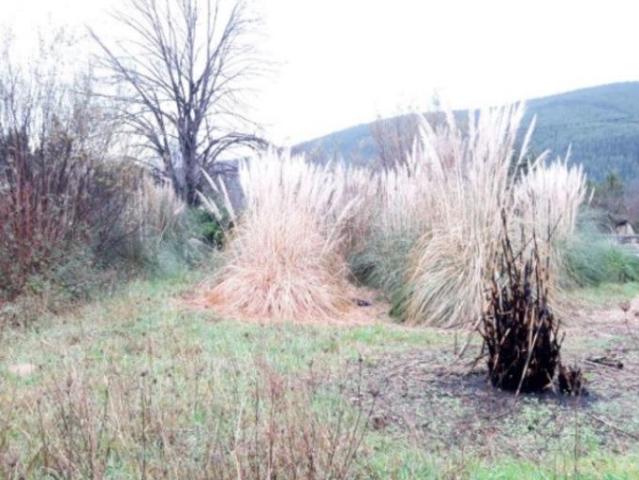 Terreno en venta en Pomaluengo, Castañeda