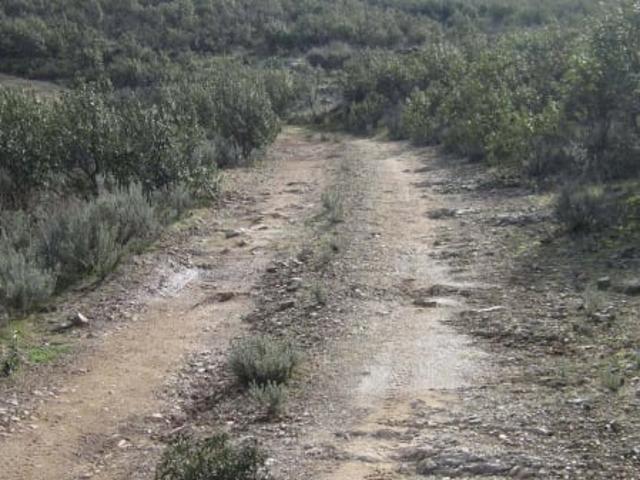 Terreno en venta en Toledo, Castilla-La Mancha