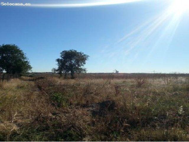 Local Comercial en venta en Sierra, Navalcarnero