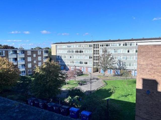 House for rent in Heigham Grove, East Bank
