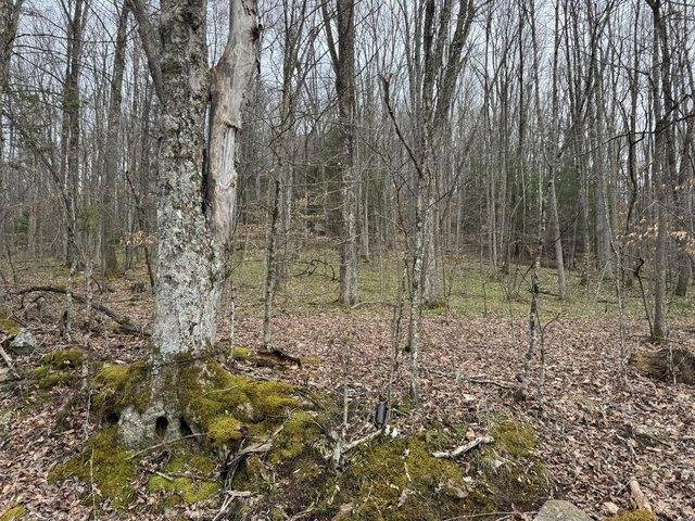 Land for sale in Craigsville, West Virginia