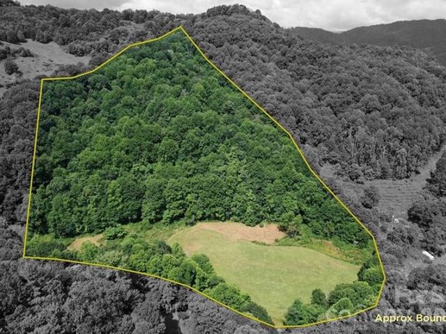 Land for sale in Marshall, North Carolina