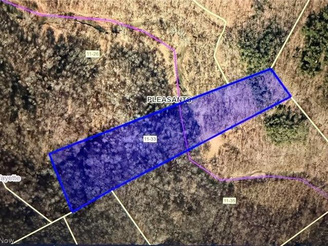Land for sale in Saint Marys, West Virginia
