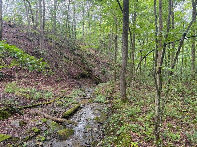 Land for sale in Sugar Grove, Warren County
