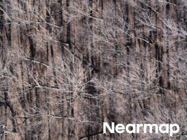 Land for sale in Tennessee