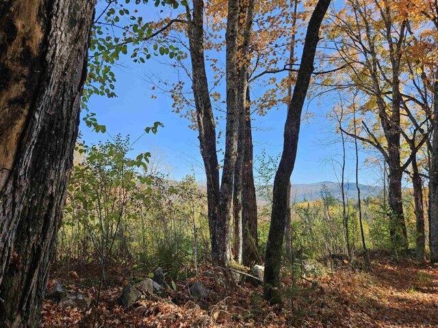 Land for sale in New Hampshire