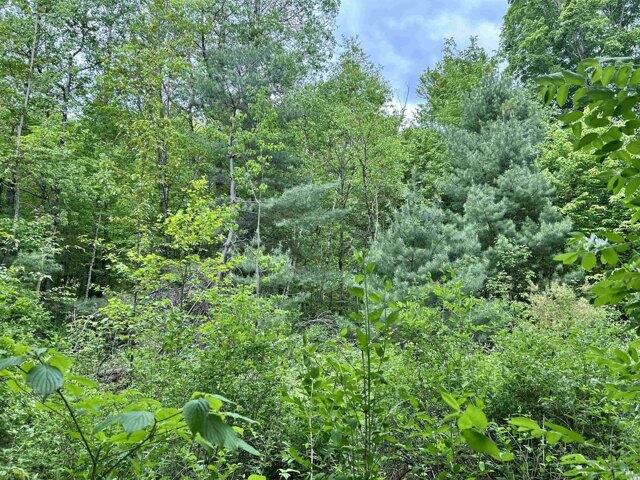 Land for sale in Underhill, Vermont